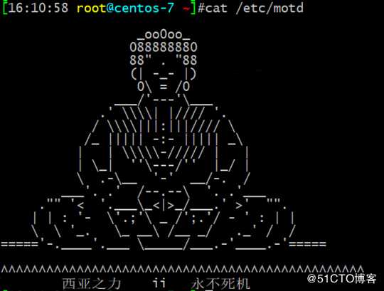 linux-4week