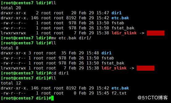 Linux文件目录介绍及操作