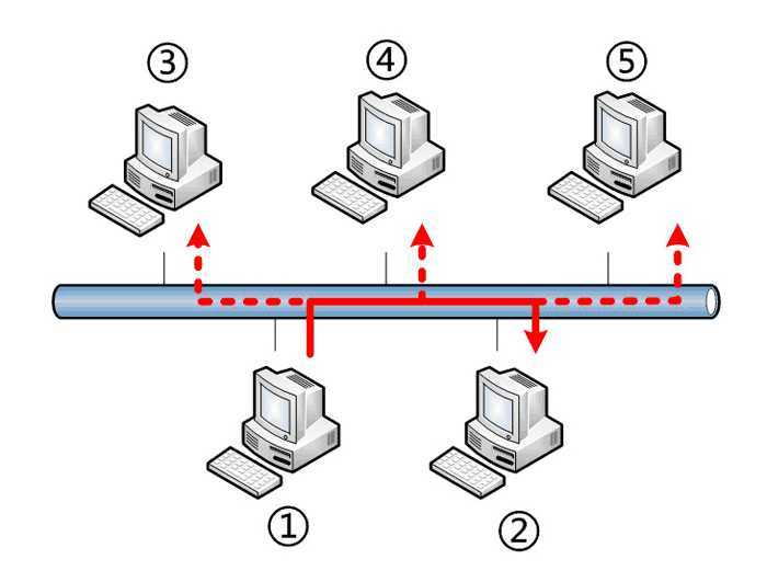 image-20200305154229574