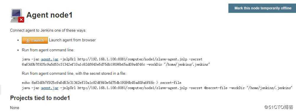 jenkins蓝海项目及slave部署