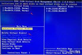 DELL T110 II配置S100与H310 RAID卡