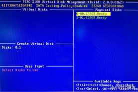 DELL T110 II配置S100与H310 RAID卡