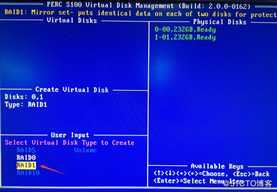 DELL T110 II配置S100与H310 RAID卡