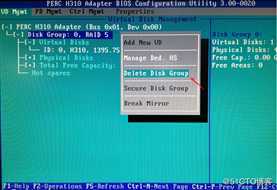 DELL T110 II配置S100与H310 RAID卡
