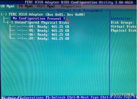 DELL T110 II配置S100与H310 RAID卡