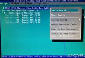 DELL T110 II配置S100与H310 RAID卡