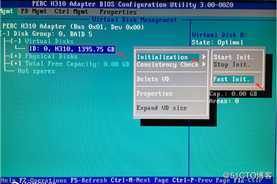 DELL T110 II配置S100与H310 RAID卡