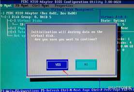 DELL T110 II配置S100与H310 RAID卡