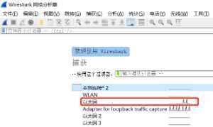 封包详细信息 (Packet Details Pane)
