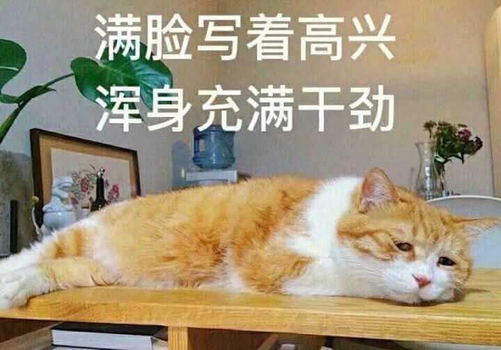 开心