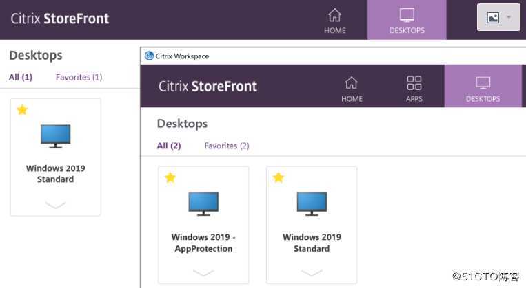 Citrix 应用保护