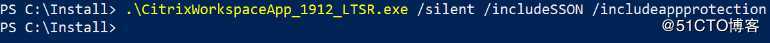 Citrix 应用保护