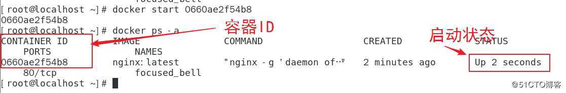 Docker ----基本管理