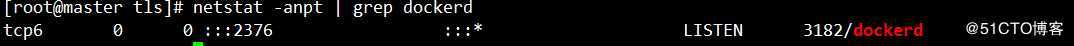 Docker-TLS 加密通讯