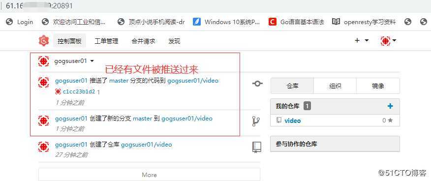 gogs账户简单应用和介绍