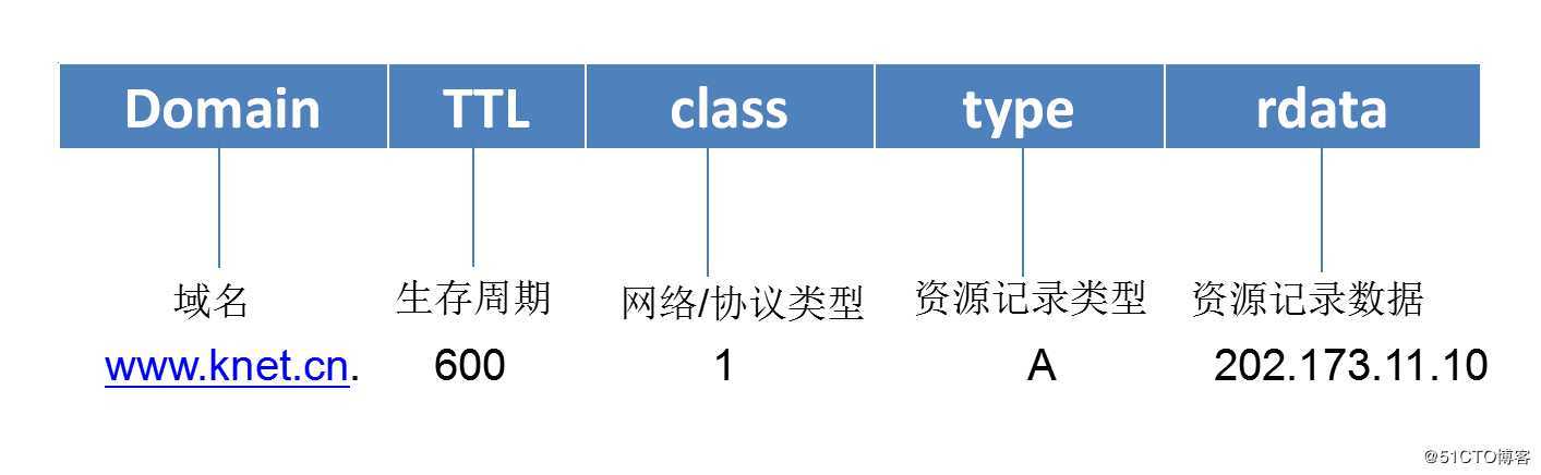 DNS--域名解析