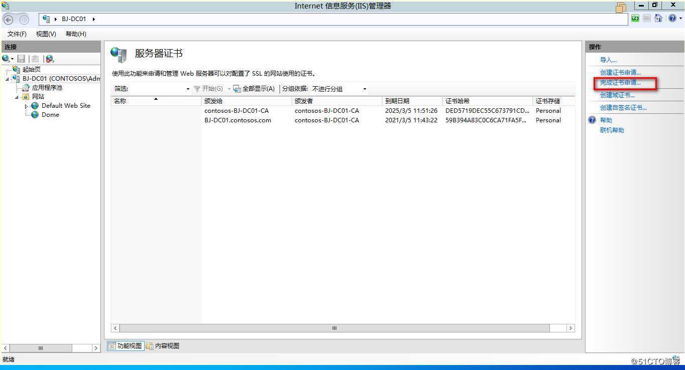 Windows Server IIS导入申请的多域名或通配符证书