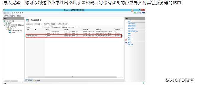 Windows Server IIS导入申请的多域名或通配符证书