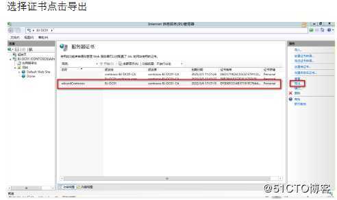 Windows Server IIS导入申请的多域名或通配符证书