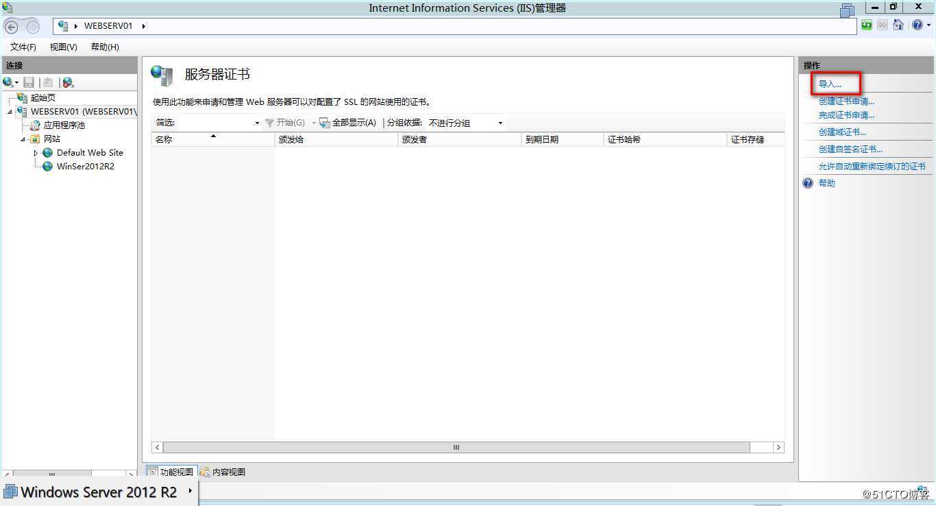 Windows Server IIS导入申请的多域名或通配符证书