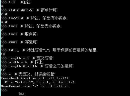 如何在交互式环境中执行Python程序