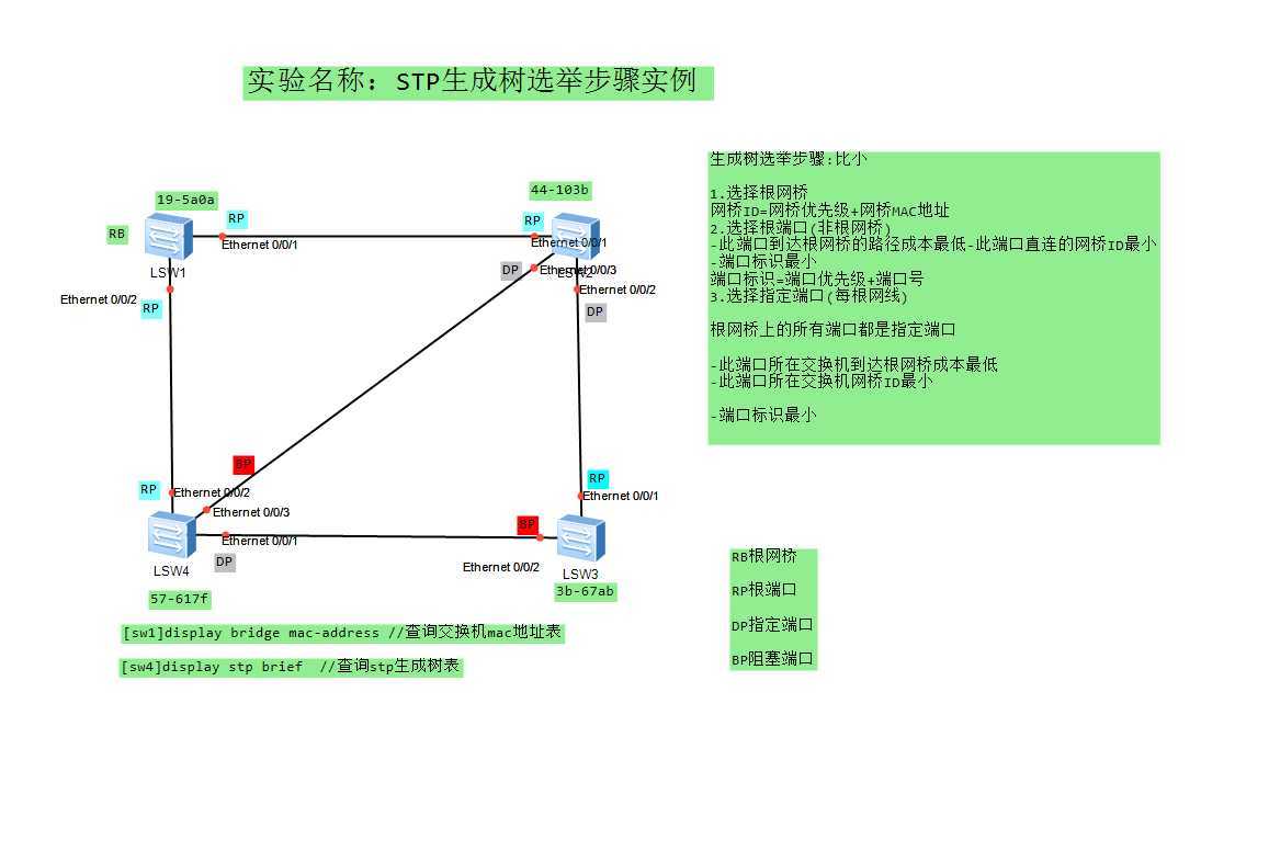 STP生成树选举