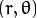 (r,\theta)