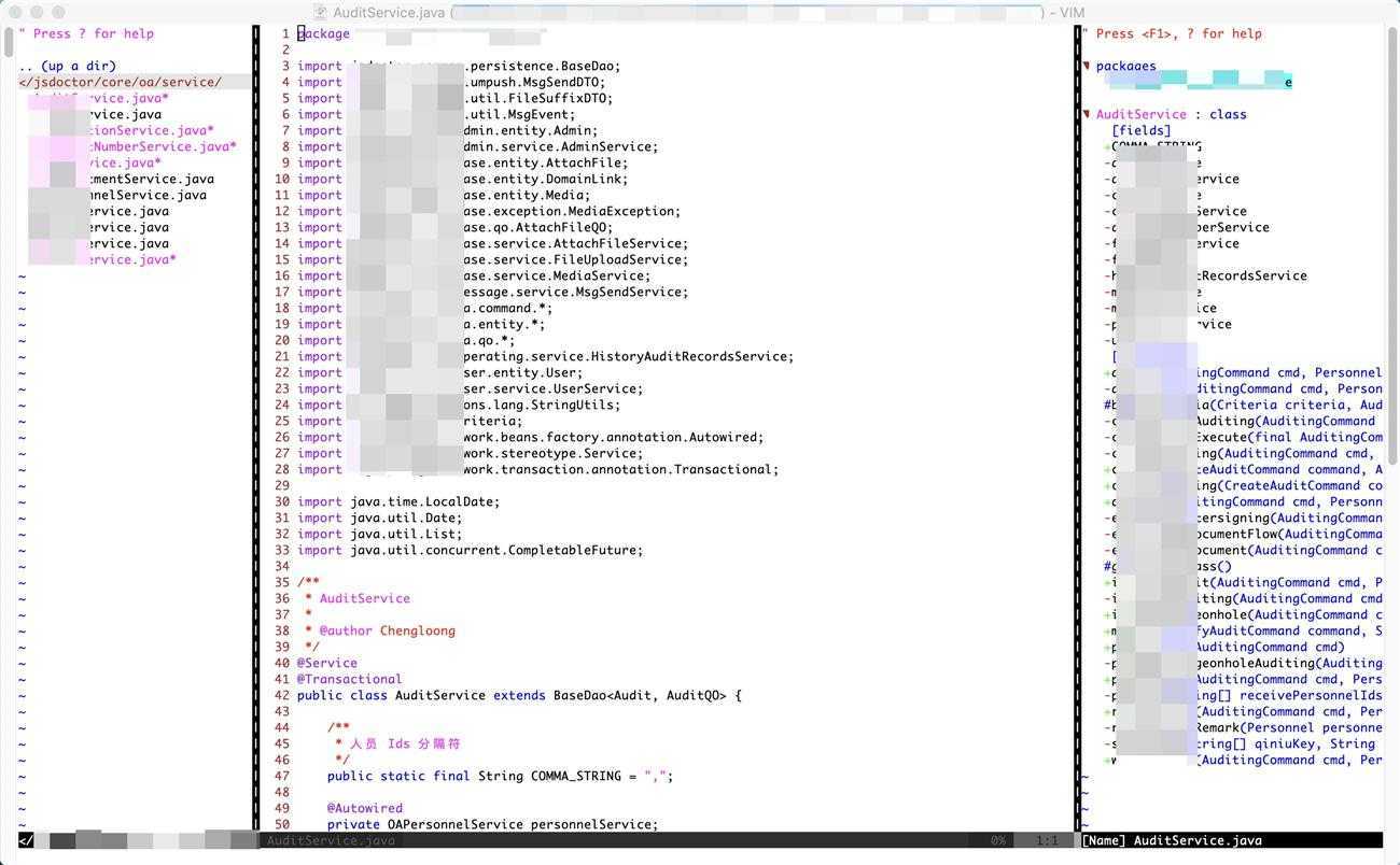 vim look java