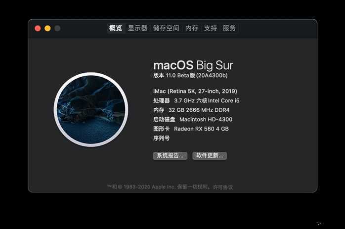 OpenCore（OC）引导升级/全新安装macOS Big Sur 11.0指南