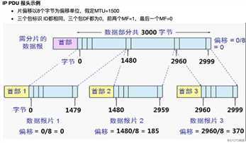 IP分类