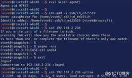 如何在Linux/Unix上使用ssh-agent进行身份验证