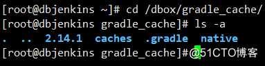 Jenkins中修改gradle的默认目录