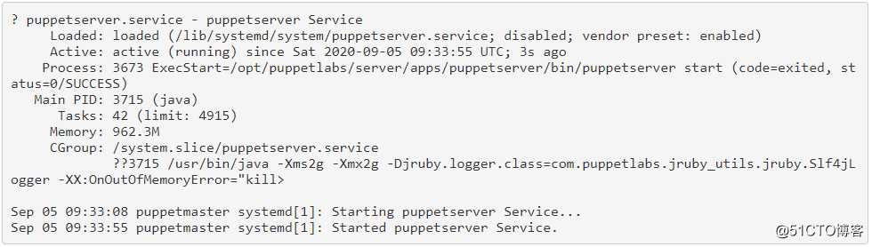 如何在Ubuntu 20.04上安装Puppet Master和Agent。