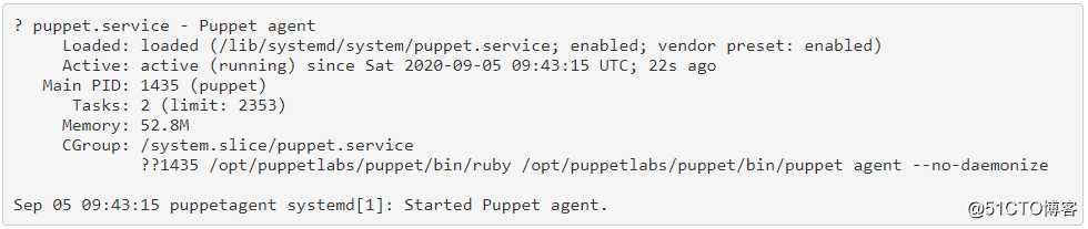 如何在Ubuntu 20.04上安装Puppet Master和Agent。