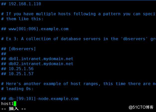 Ansible 自动化运维实战
