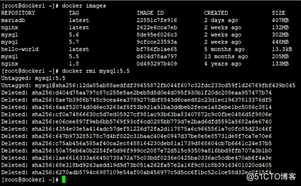 Docker 命令-镜像命令下载,删除镜像（4）