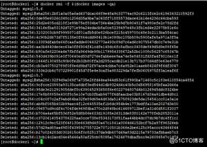 Docker 命令-镜像命令下载,删除镜像（4）