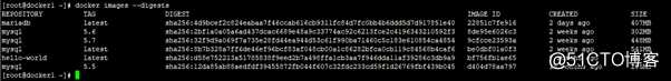 Docker 命令-镜像命令docker images（2）