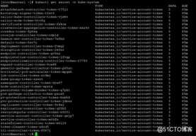 1 安装Kubernetes-设置Kubernetes环境（2）