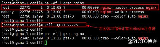 CentOS7 Nginx安装配置操作指引