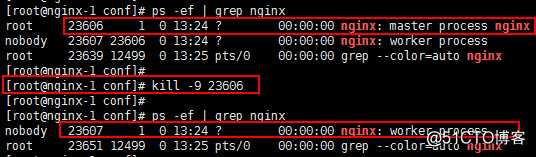 CentOS7 Nginx安装配置操作指引