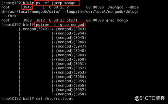 Mongodb数据库的搭建和相关使用命令