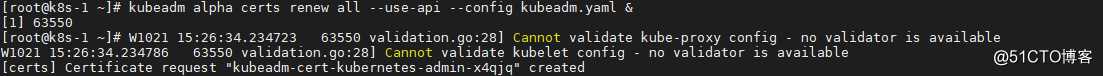 更新一个10年有效期的 Kubernetes 证书