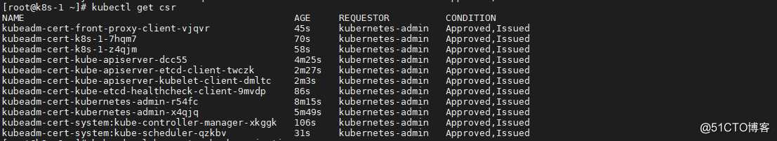 更新一个10年有效期的 Kubernetes 证书