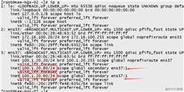 Centos7+nginx+keepalived高可用及双主模式