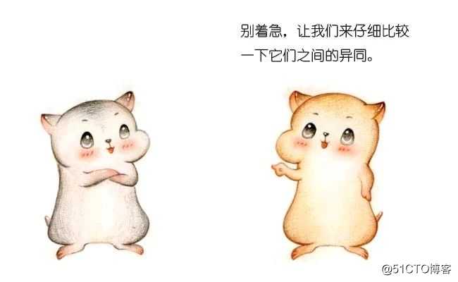 漫画：“排序算法” 大总结
