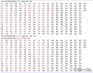 分布式文件系统FastDFS详解