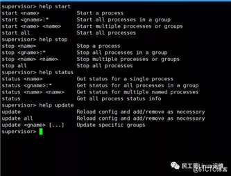 【管理工具】进程管理工具Supervisor（送书活动）