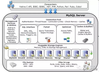 LAMP架构应用实战——MySQL服务