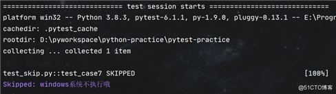 Pytest学习（七） - skip、skipif的使用